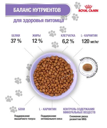 ROYAL CANIN Dry food for cats Sterilized 37 (sterilizhez 37) 1.2kg - Buy Online on GoSupps.com