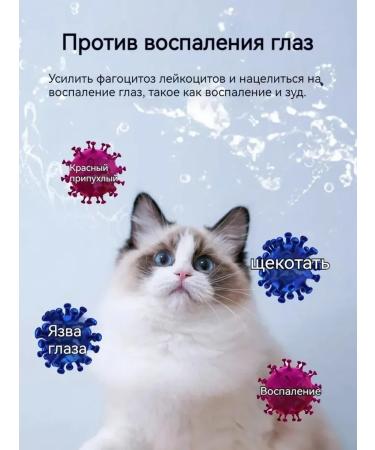 Eye drops for cats and dogs with conjunctivitis 60ml - Buy Online on GoSupps.com