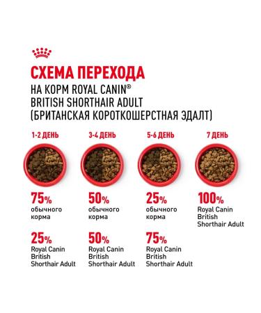 ROYAL CANIN Feed for British short -haired cats set 2+2 kg - Buy Online on GoSupps.com