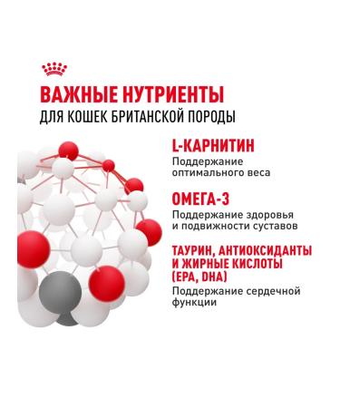 ROYAL CANIN Feed for British short -haired cats set 2+2 kg - Buy Online on GoSupps.com