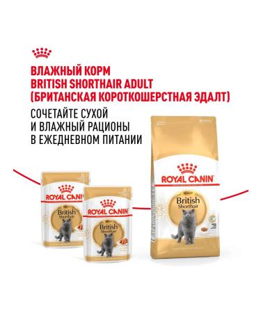 ROYAL CANIN Feed for British short -haired cats set 2+2 kg - Buy Online on GoSupps.com