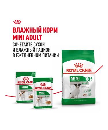 ROYAL CANIN Dry food for dogs up to 10 kg 8+ set 4+4 kg - Buy Online on GoSupps.com