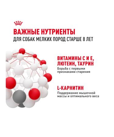 ROYAL CANIN Dry food for dogs up to 10 kg 8+ set 4+4 kg - Buy Online on GoSupps.com