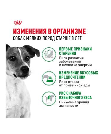 ROYAL CANIN Dry food for dogs up to 10 kg 8+ set 4+4 kg - Buy Online on GoSupps.com