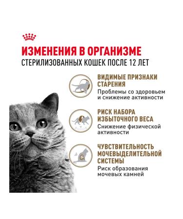 ROYAL CANIN Dry food for sterilized cats 12+ set 4+4 kg - Buy Online on GoSupps.com
