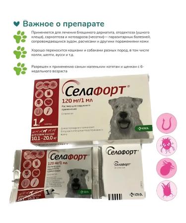 KRKA Sealess for dogs weighing 10 to 20 kg 120 mg 1 ml - Buy Online on GoSupps.com