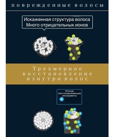 TSUBAKI Shampoo and air conditioning for intense recovery - Buy Online on GoSupps.com