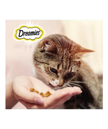 DREAMIES MIX pillow for cats chicken peppermint 140 g 5 pcs - Buy Online on GoSupps.com