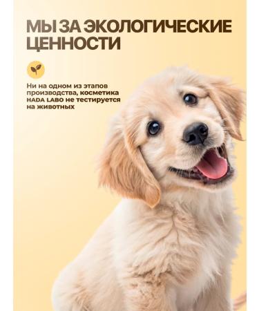 HADA LABO Face cream against wrinkles with peptides - Buy Online on GoSupps.com