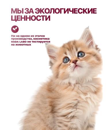 HADA LABO Set for care foam tonic and lotion moisturizing 3 in 1 - Buy Online on GoSupps.com