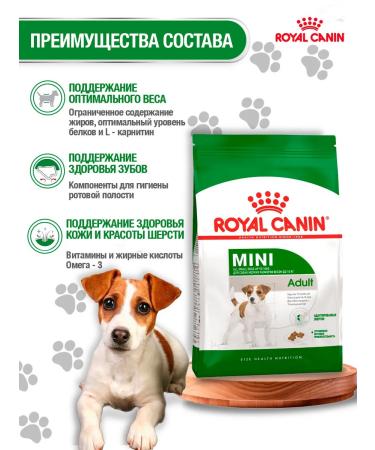 ROYAL CANIN Dry food mini adult for dogs of small breeds 8 kg - Buy Online on GoSupps.com