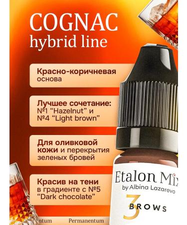 Etalon mix Set pigments standard mix for permanent makeup - Buy Online on GoSupps.com