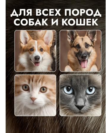 fito paws Phyto repellent shampoo for dogs and cats - Buy Online on GoSupps.com