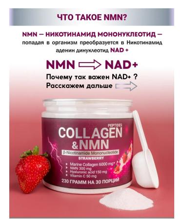 Energy Bio Systems Dietary supplies to sea collagen with NMN strawberries 230g - Buy Online on GoSupps.com