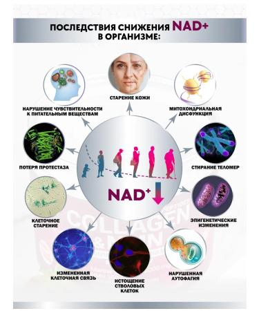 Energy Bio Systems Dietary supplies to sea collagen with NMN orange 230g - Buy Online on GoSupps.com