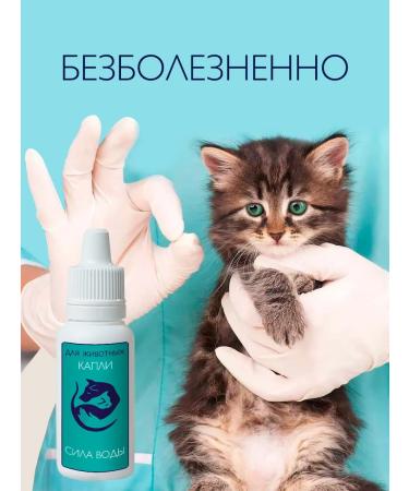 THE POWER OF WATER Drops for animals for the eyes and for the ears - Buy Online on GoSupps.com