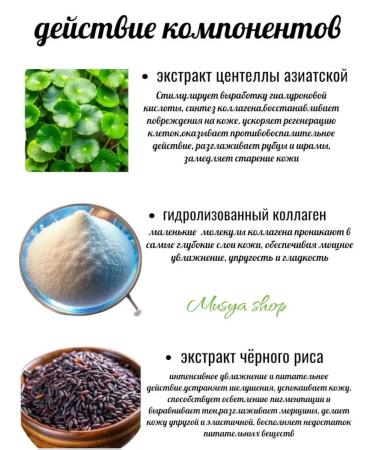 Holika Holika Tonal BB Cream Black Ricee - Buy Online on GoSupps.com