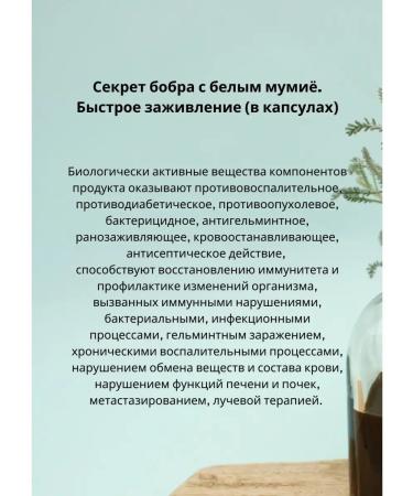 Sashera honey The secret of beaver for rapid healing - Buy Online on GoSupps.com