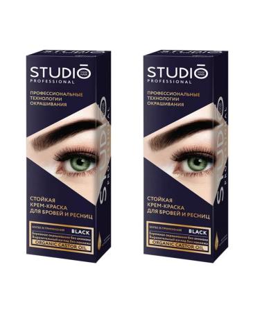 Studio Professional Cream-painting for eyebrows and eyelashes black 2 packages