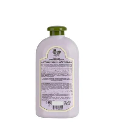 Grandma Agafia's Recipes Shampoo for damaged and dyed hair 500 ml - Buy Online on GoSupps.com