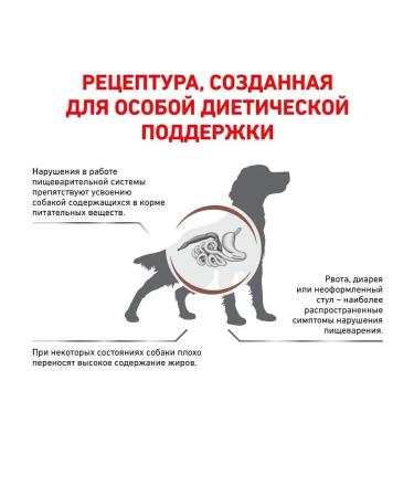 Royal Canin Dry food for dogs for all rocks with digestive problems - Buy Online on GoSupps.com