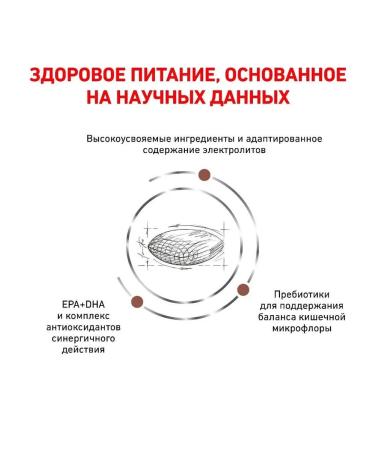 Royal Canin Dry food for dogs for all rocks with digestive problems - Buy Online on GoSupps.com