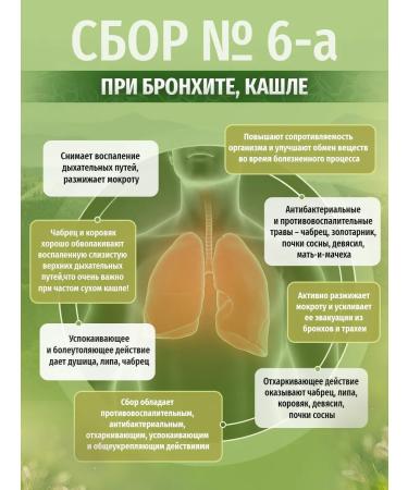 Herbs of the Caucasus Herbal collection for bronchitis cough No. 6-a - Buy Online on GoSupps.com
