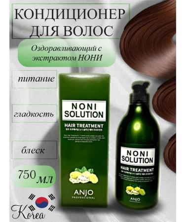 ANJO PROFESSIONAL Hair air conditioning with Noni 750 Ml extract