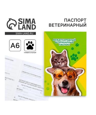 Veterinary passport for dogs cat dog