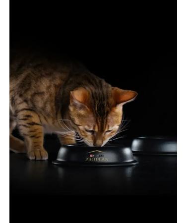 PRO PLAN Sterilized Dry food for sterilized cats and cats with salmon - Buy Online on GoSupps.com