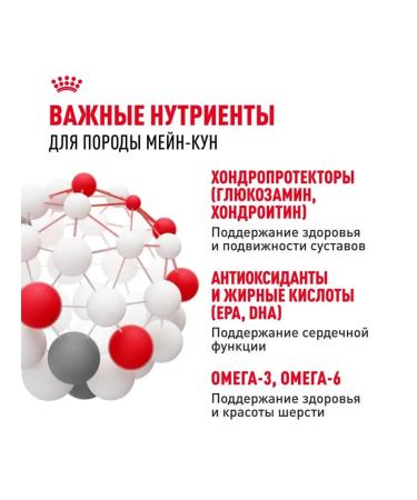 Royal Canin Dry food for mane-kun breed cats chicken - Buy Online on GoSupps.com