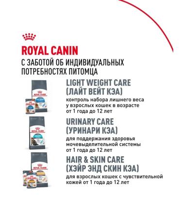 Royal Canin Dry food for mane-kun breed cats chicken - Buy Online on GoSupps.com