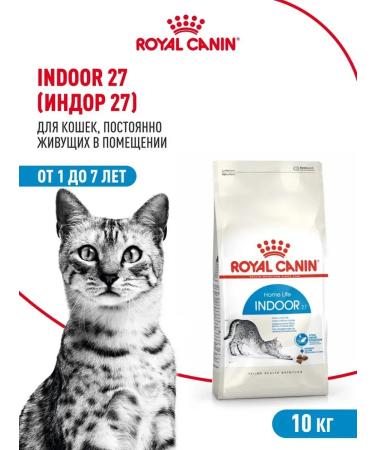 Royal Canin Dry food for cats for living in the room