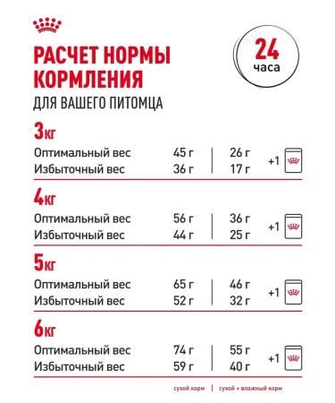 Royal Canin Dry food for cats for living in the room - Buy Online on GoSupps.com