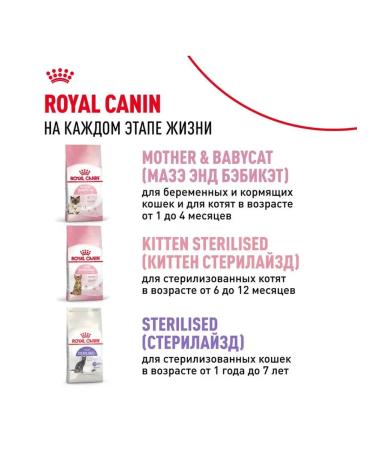 Royal Canin Dry food for kittens from 4 months with chicken - Buy Online on GoSupps.com