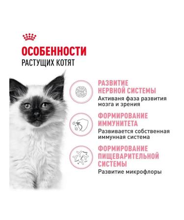 Royal Canin Dry food for kittens from 4 months with chicken - Buy Online on GoSupps.com