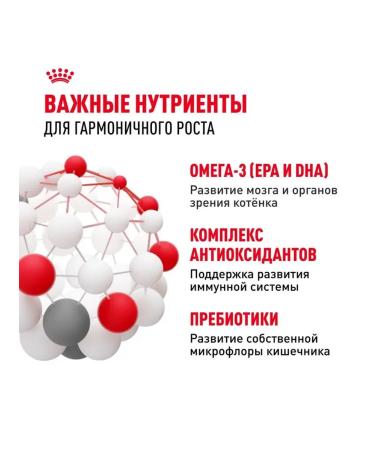 Royal Canin Dry food for kittens from 4 months with chicken - Buy Online on GoSupps.com