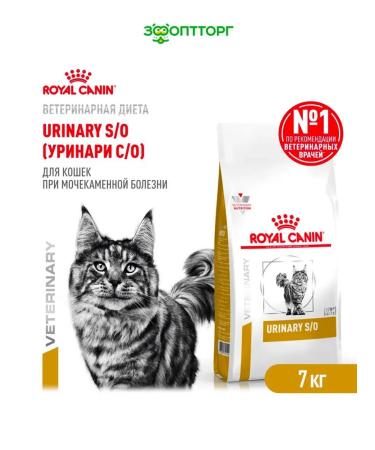 Royal Canin Dry food for cats in the treatment of ICD with a bird