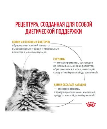 Royal Canin Dry food for cats in the treatment of ICD with a bird - Buy Online on GoSupps.com