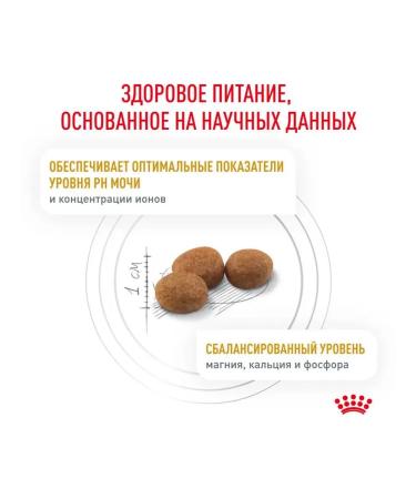 Royal Canin Dry food for cats in the treatment of ICD with a bird - Buy Online on GoSupps.com