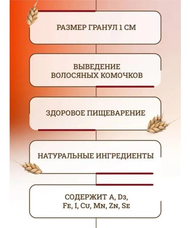 Dry food for Royal Canin Fit cats. - Buy Online on GoSupps.com