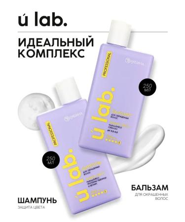 PROmarket Professional shampoo for dyed hair - Buy Online on GoSupps.com