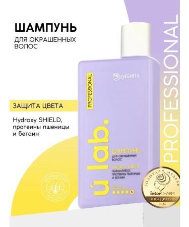 ProMarket2 Professional shampoo for dyed hair