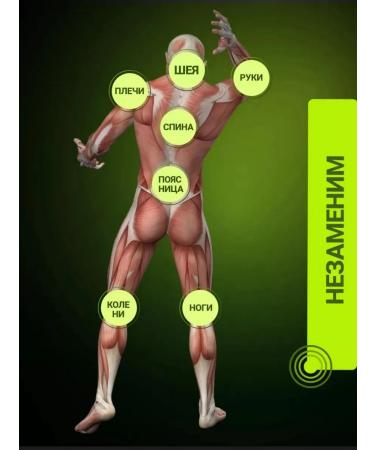 Disaar analgesic ointment for joints - Buy Online on GoSupps.com