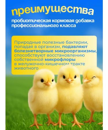 BashInkom Save Tsyp Probiotic for chickens Vetosporin-z Savitsyp - Buy Online on GoSupps.com