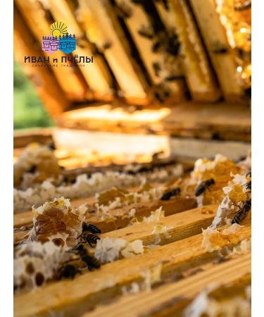 Ivan and the Bees Honey natural yellow acacia 450 g - Buy Online on GoSupps.com