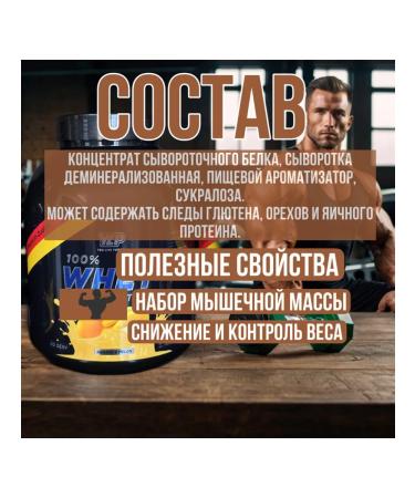 YLP 100% WHEY PROTEIN Protein 100% Whey Protein - Buy Online on GoSupps.com