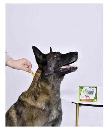 AVZ Dermatological drops for medium breeds of dogs - Buy Online on GoSupps.com