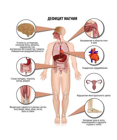 Vneshtorgpharma Magnesium citrate is organic - Buy Online on GoSupps.com