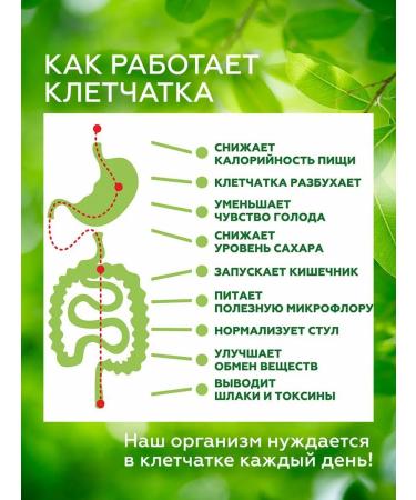 WOW School branches natural for weight loss 200Gx3 - Buy Online on GoSupps.com